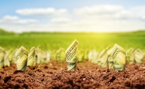 moneygrowth