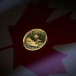 loonie vw1006